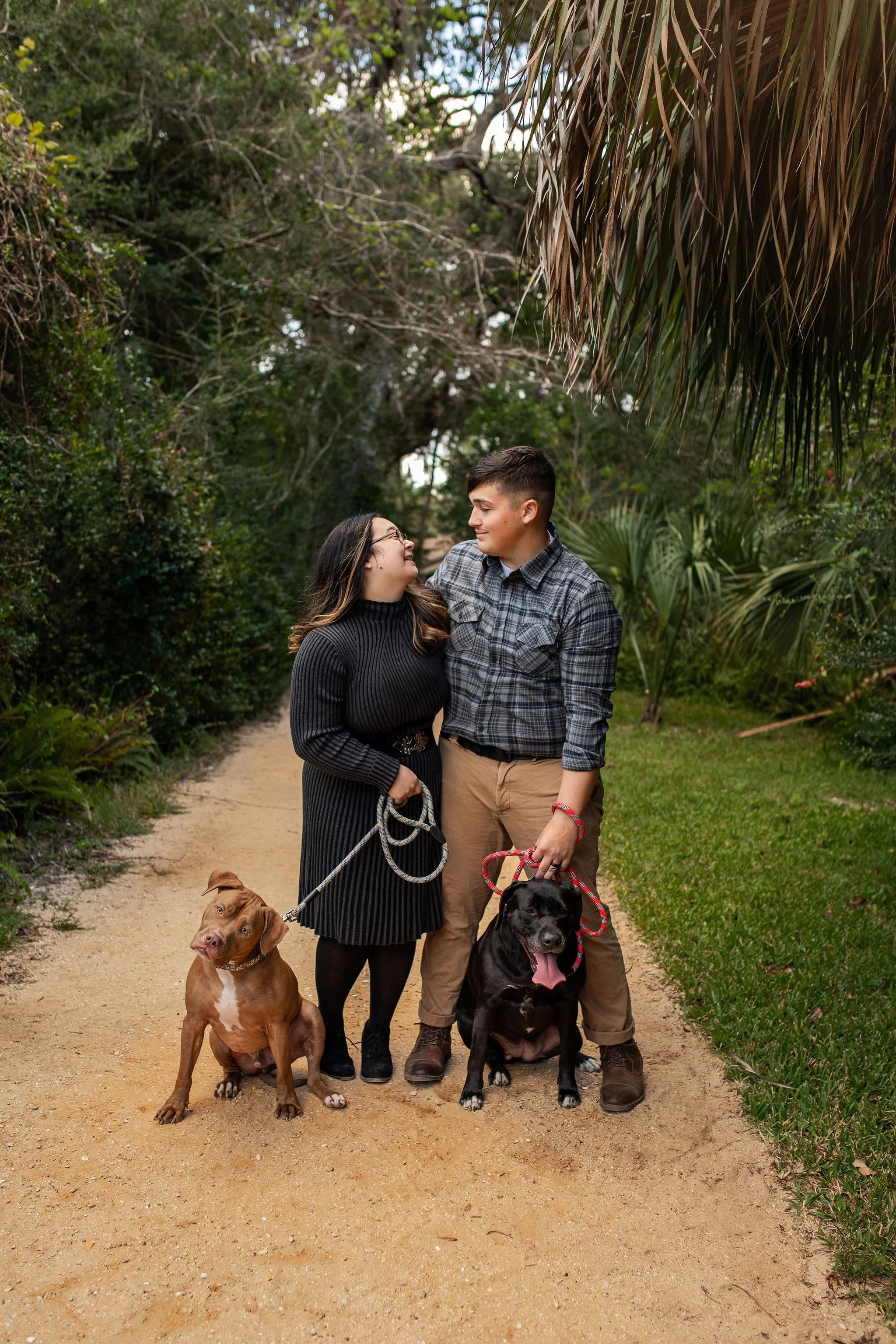 Family photo session with pet dogs at national park near Saint Augustine, FL with palms and oak trees and relaxed, casual clothing with a timeless look