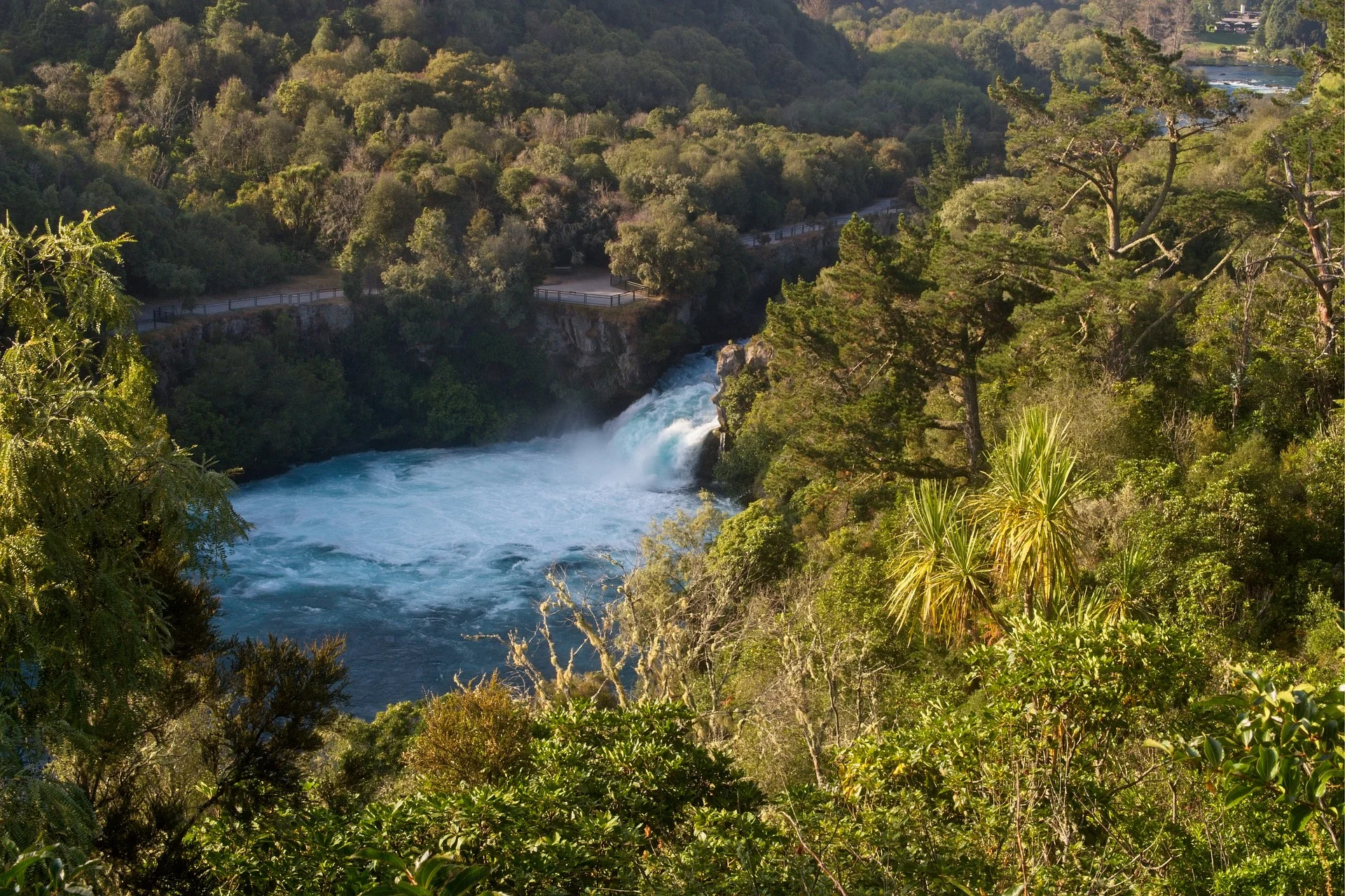 waikato.jpg