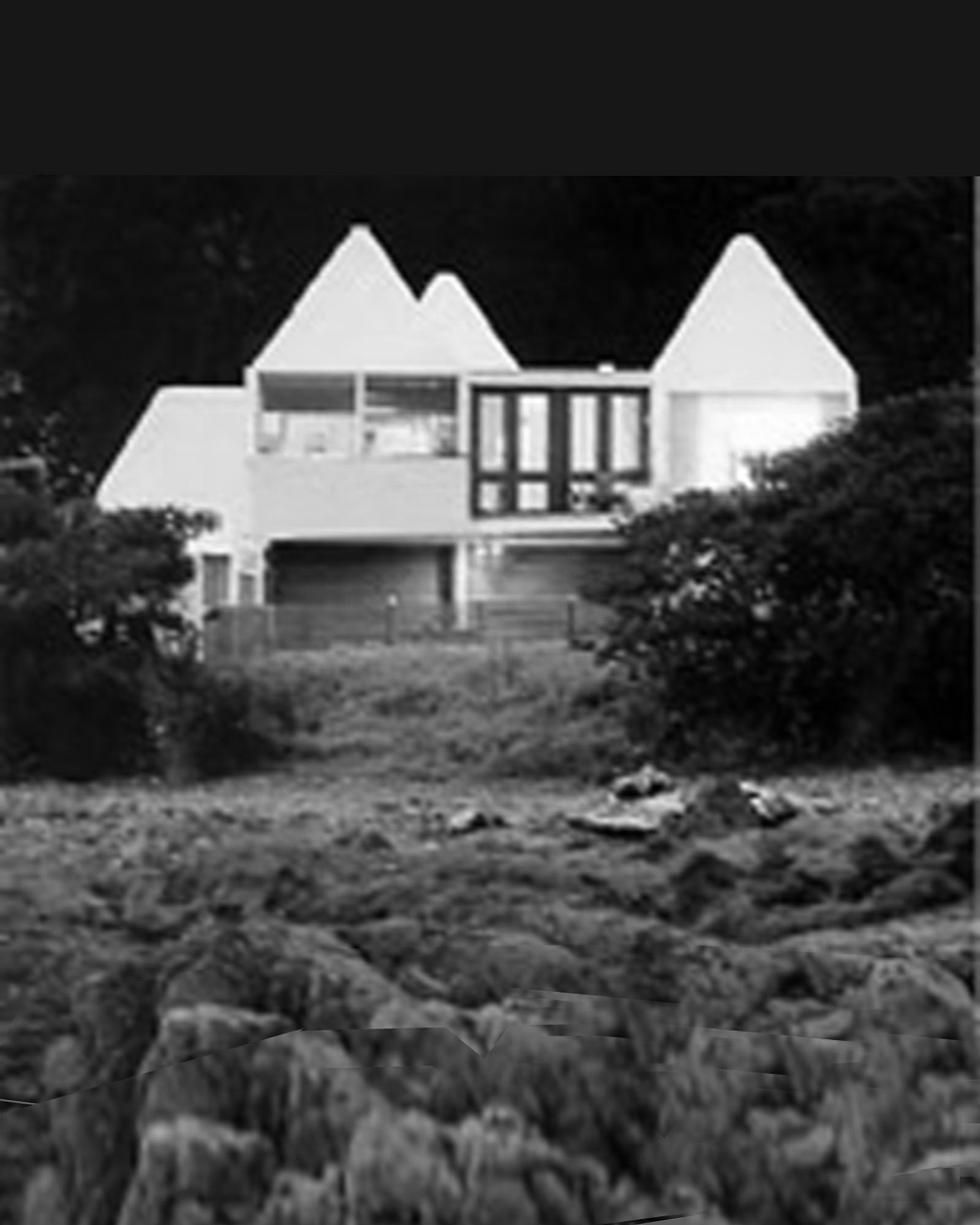 alty bw.jpg