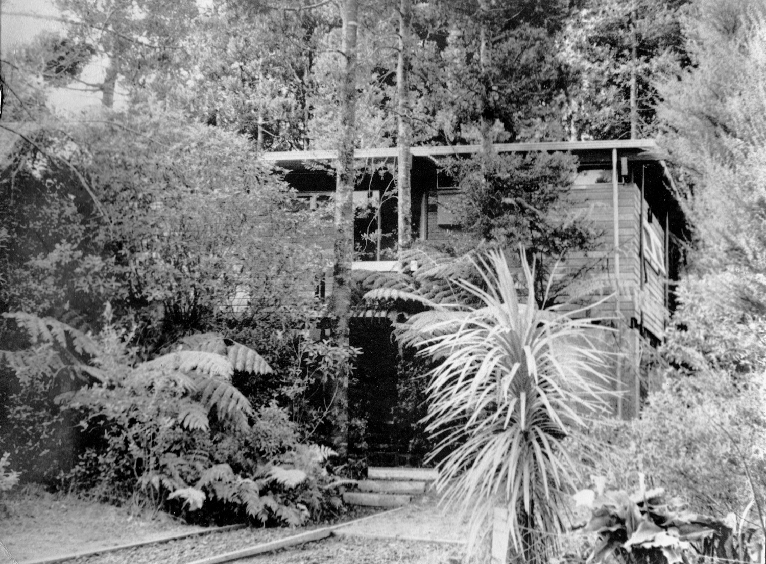 titirangi.jpg