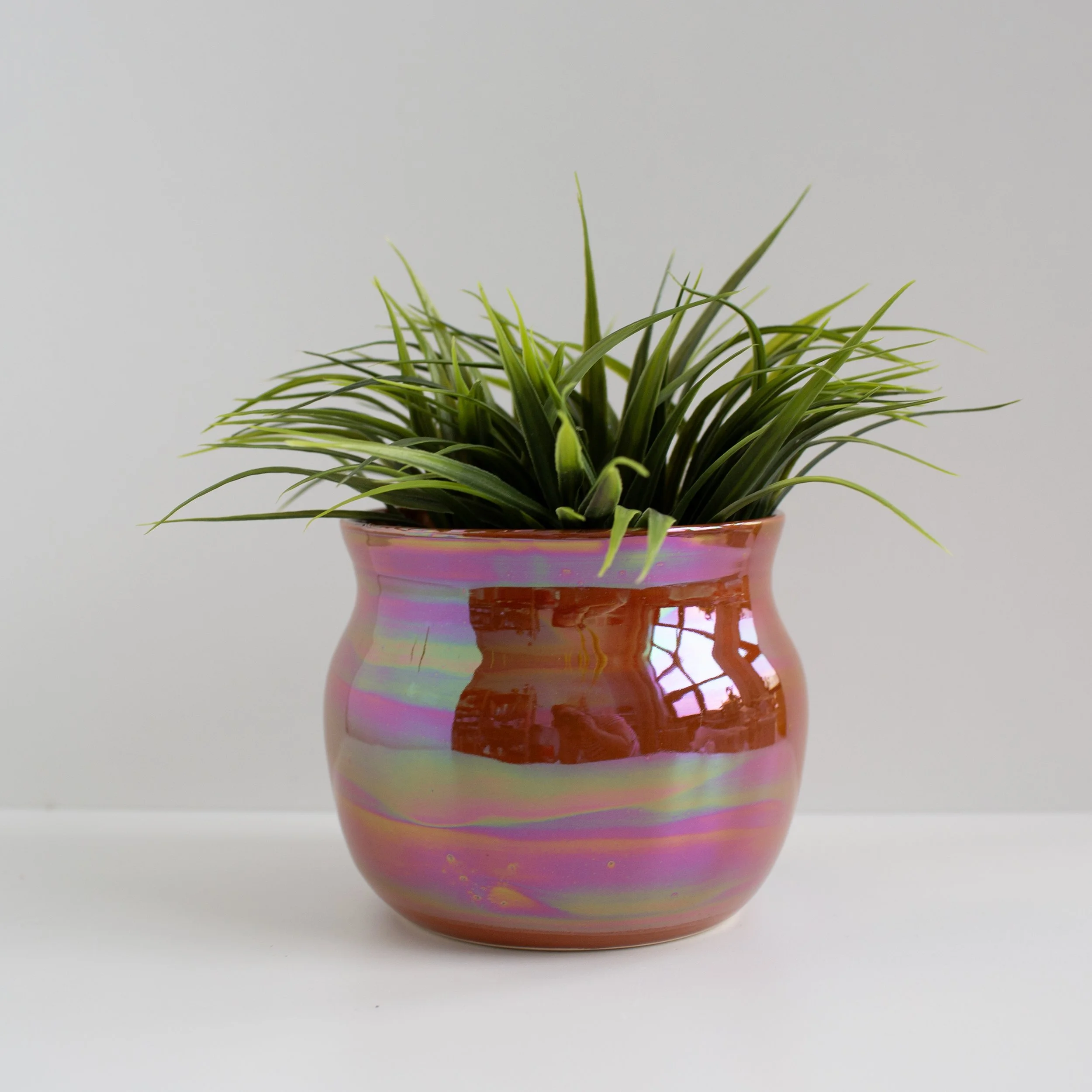 Tiger Eye Planter