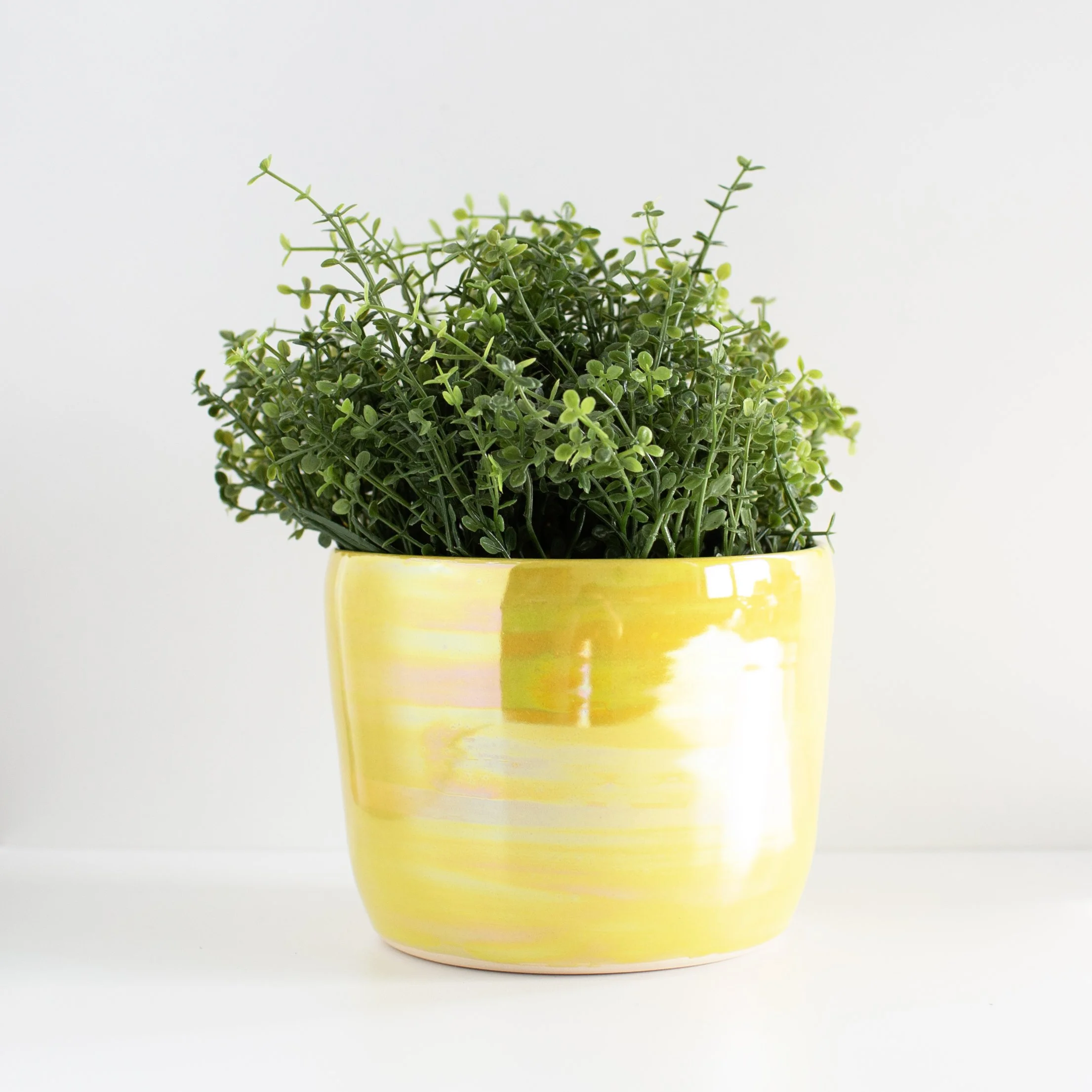 Citrine Planter