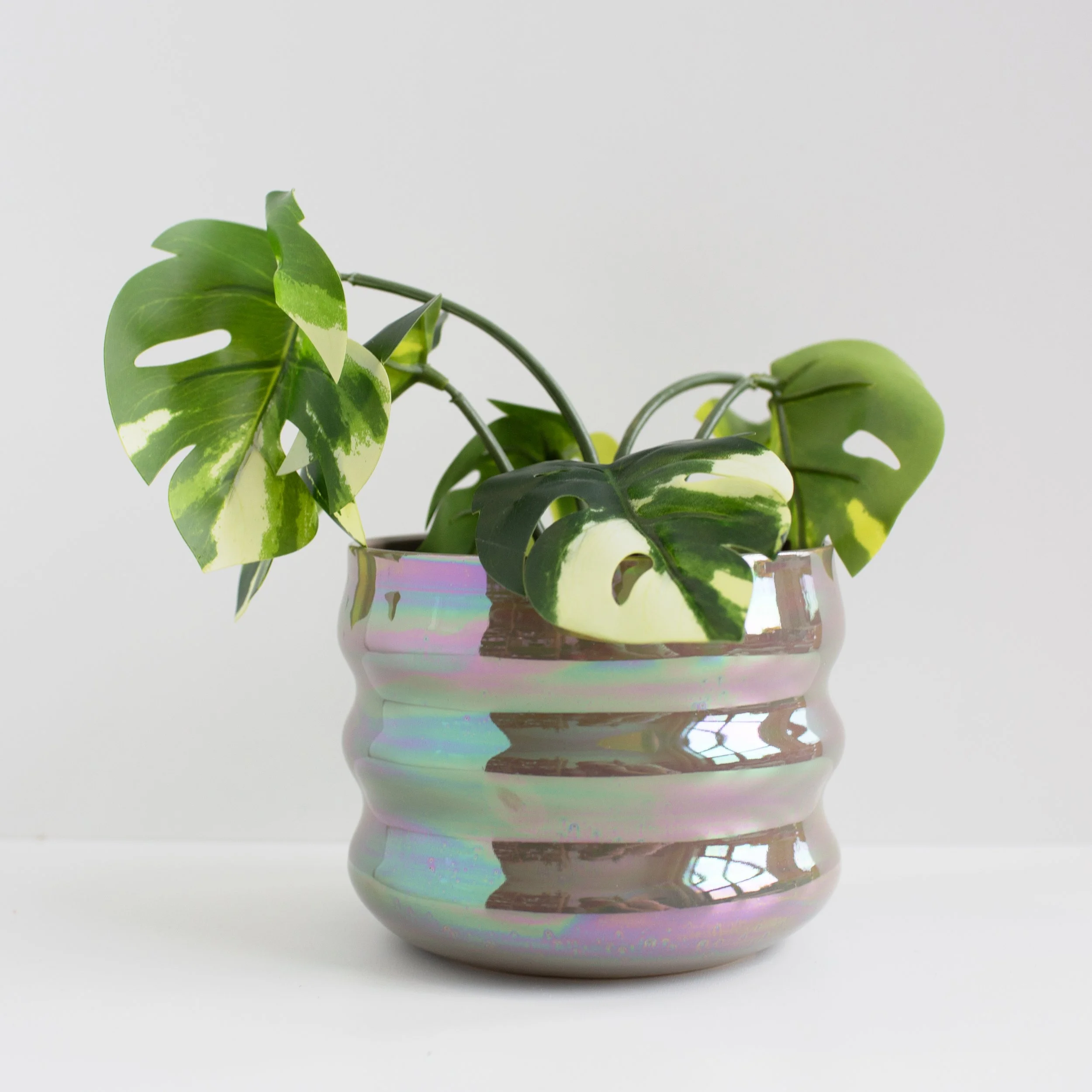 a mano-louisa podlich-clay-ceramic-pottery-wheel thrown-planter-handmade-2.jpg
