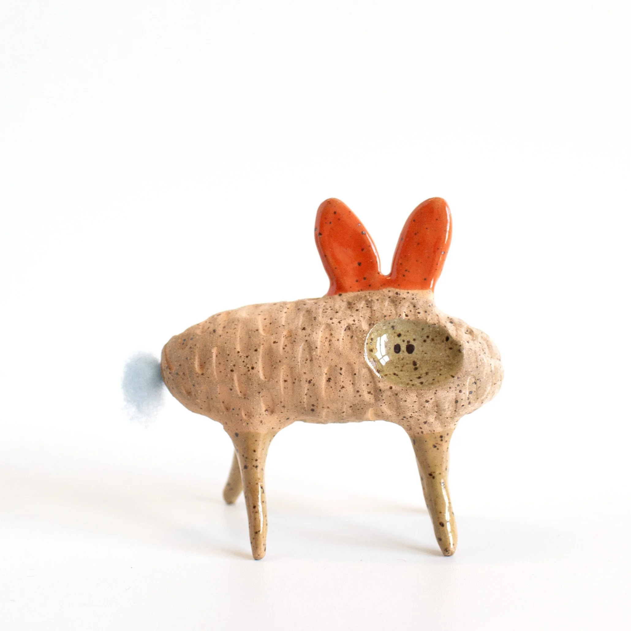 Salvador the Curious Creature