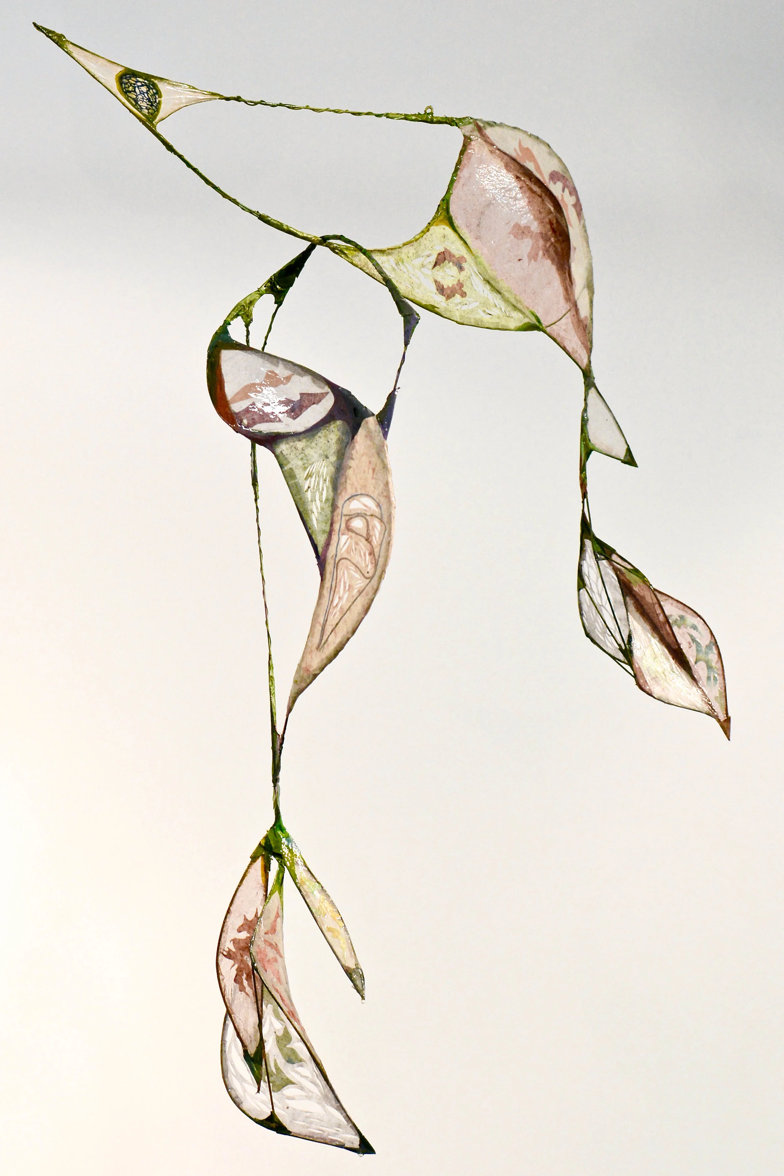 Budding