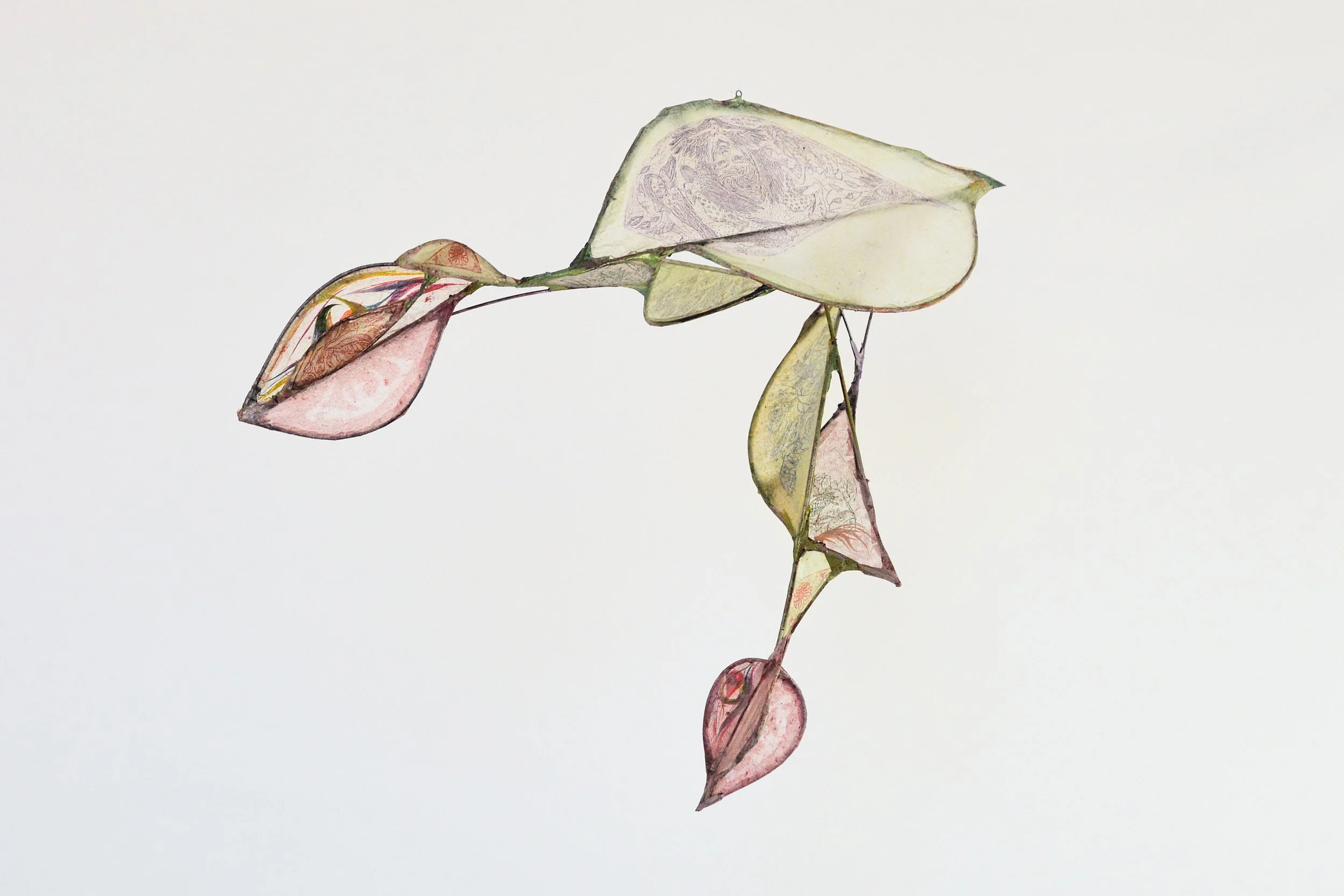 Untitled (internal bloom 2)