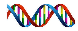 Who's Lurking In Your Educational DNA?