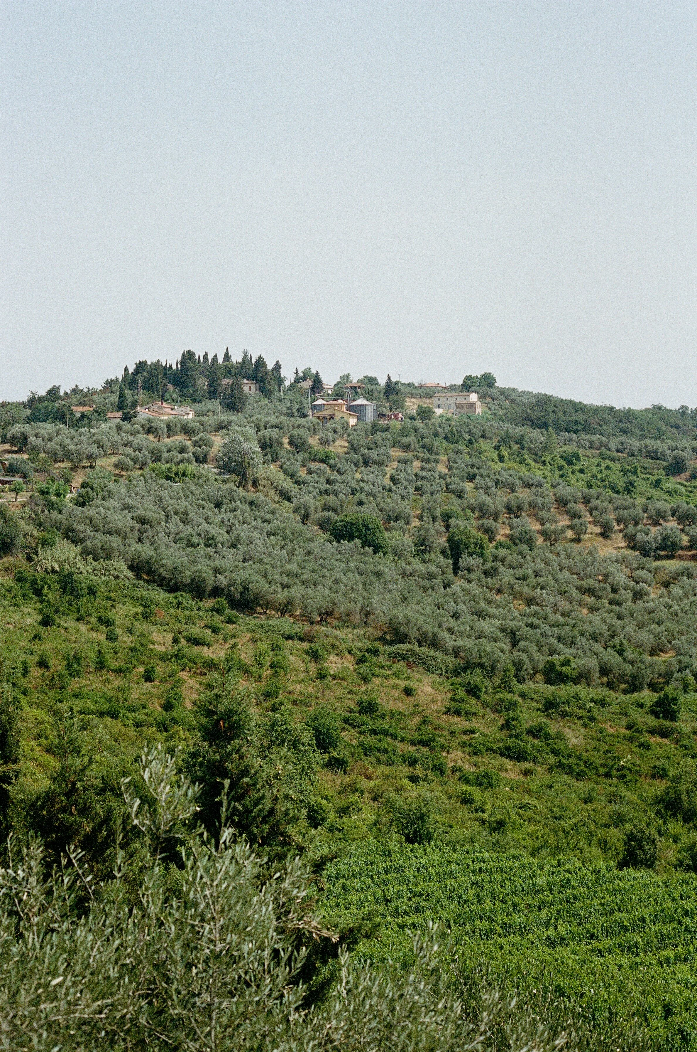 italiansummer-19690024.jpg