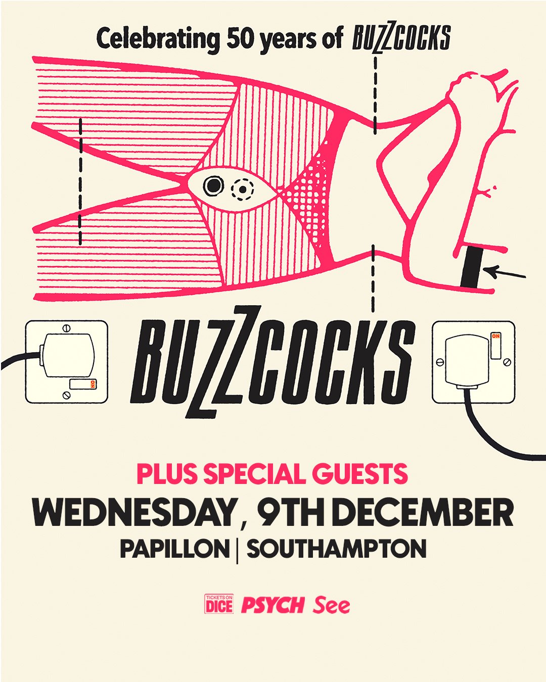 Southampton Papillon