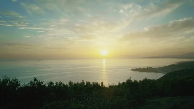 California Avocado | Pandora