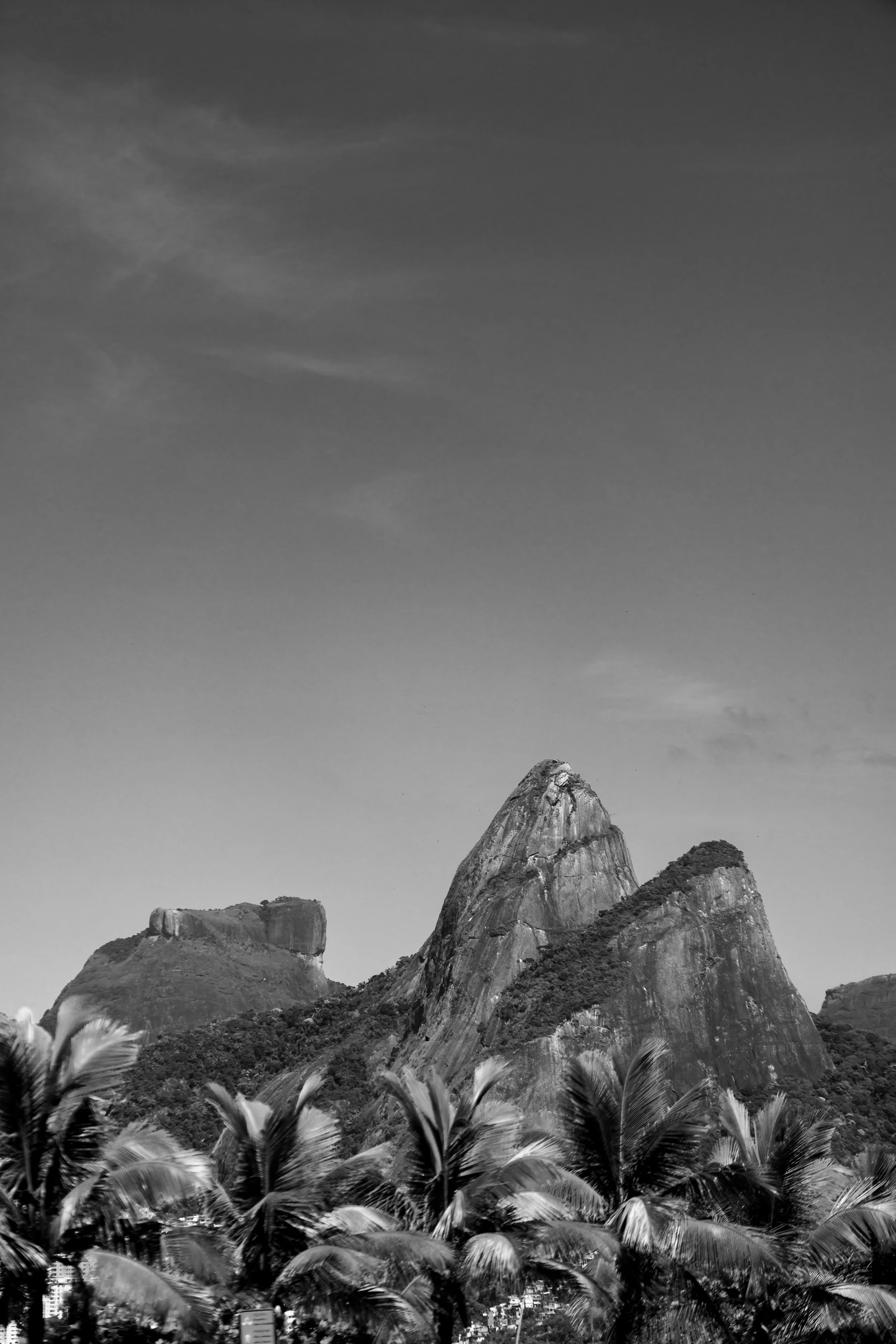 Opportunity Quadros-20.jpg