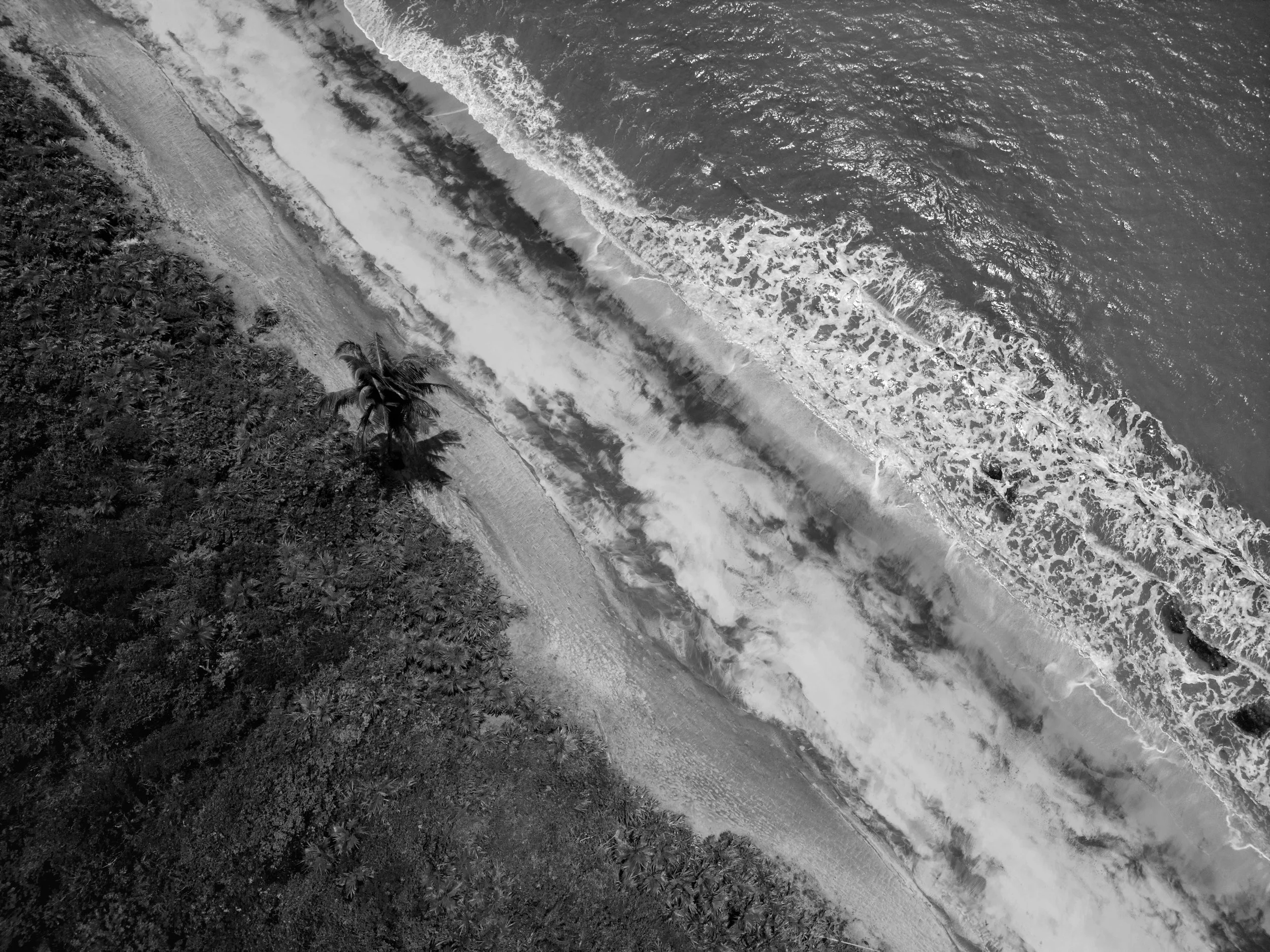 Caraiva Quadros-14.jpg