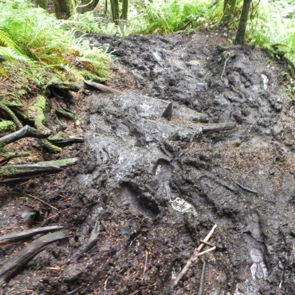 Our muddy path...the photo gives you an idea how sloppy it was!