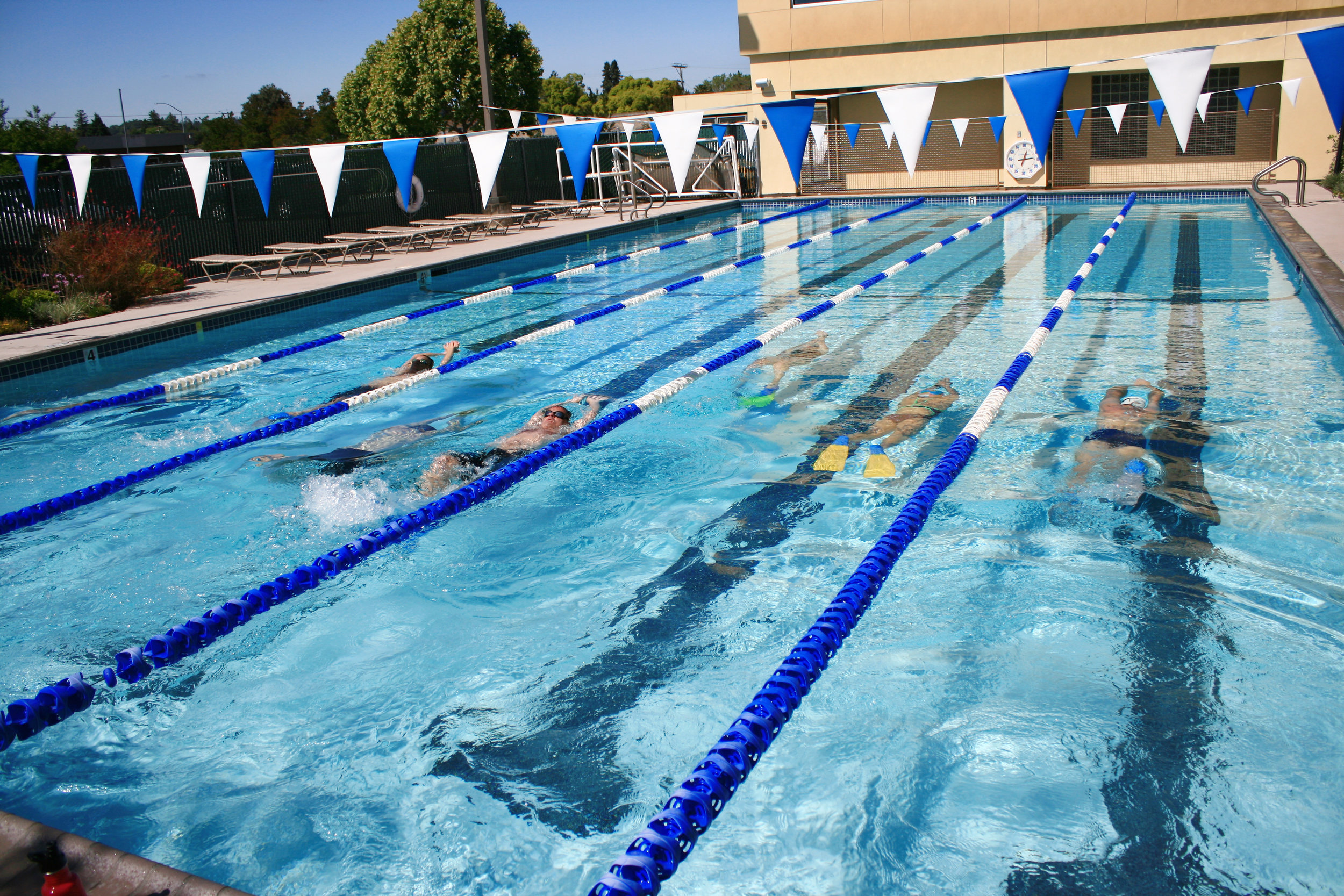 healthquestmastersswim.jpg