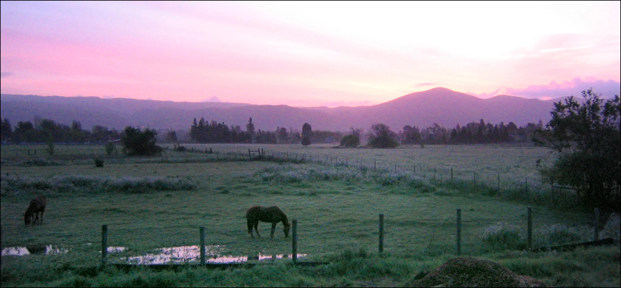 Another blissful morning in the Napa Valley, home of HealthQuest Fitness Center