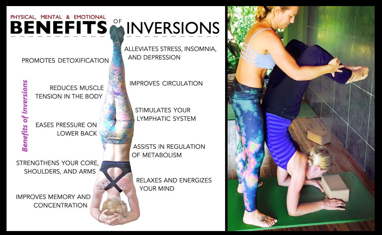 5 Yoga Inversions for Complete Beginners 🙃 - Yogamoo™