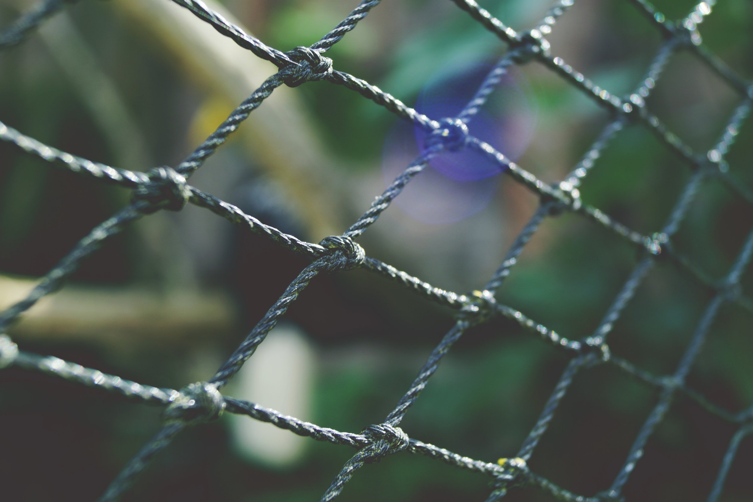 Safety Net.jpg