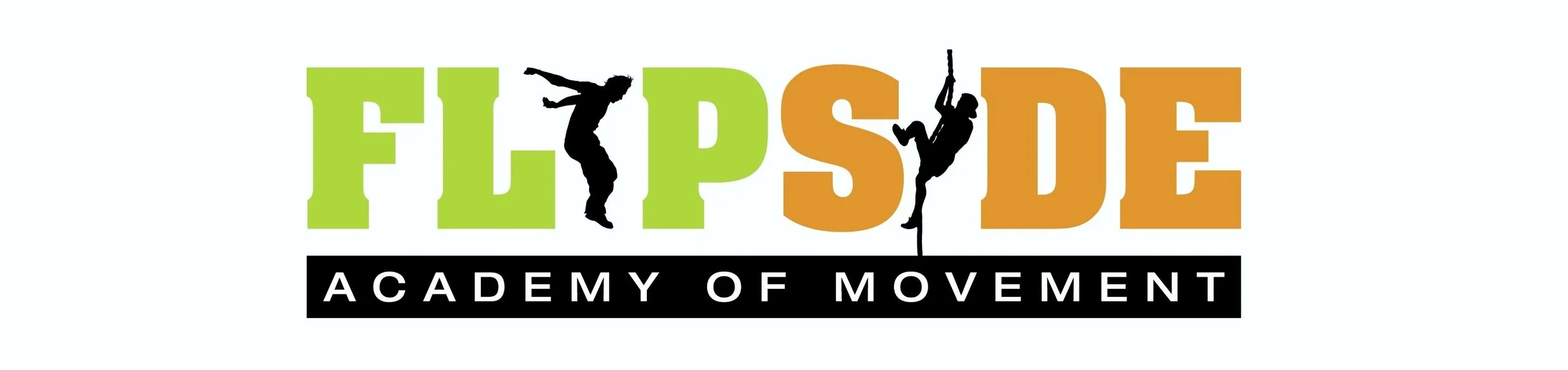 transparent pictue.jpg