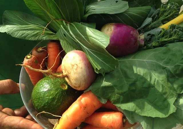 rec_localfood.jpg
