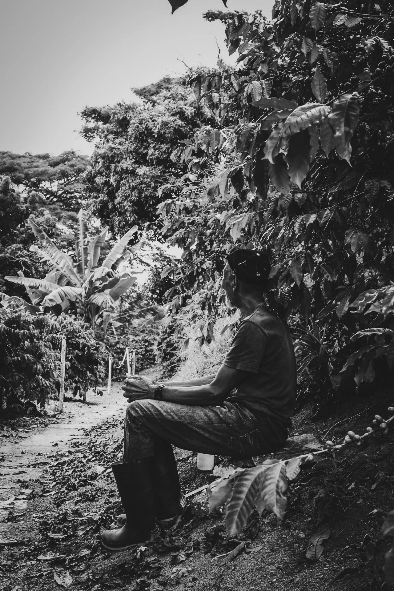 Pause in the Blue Mountain