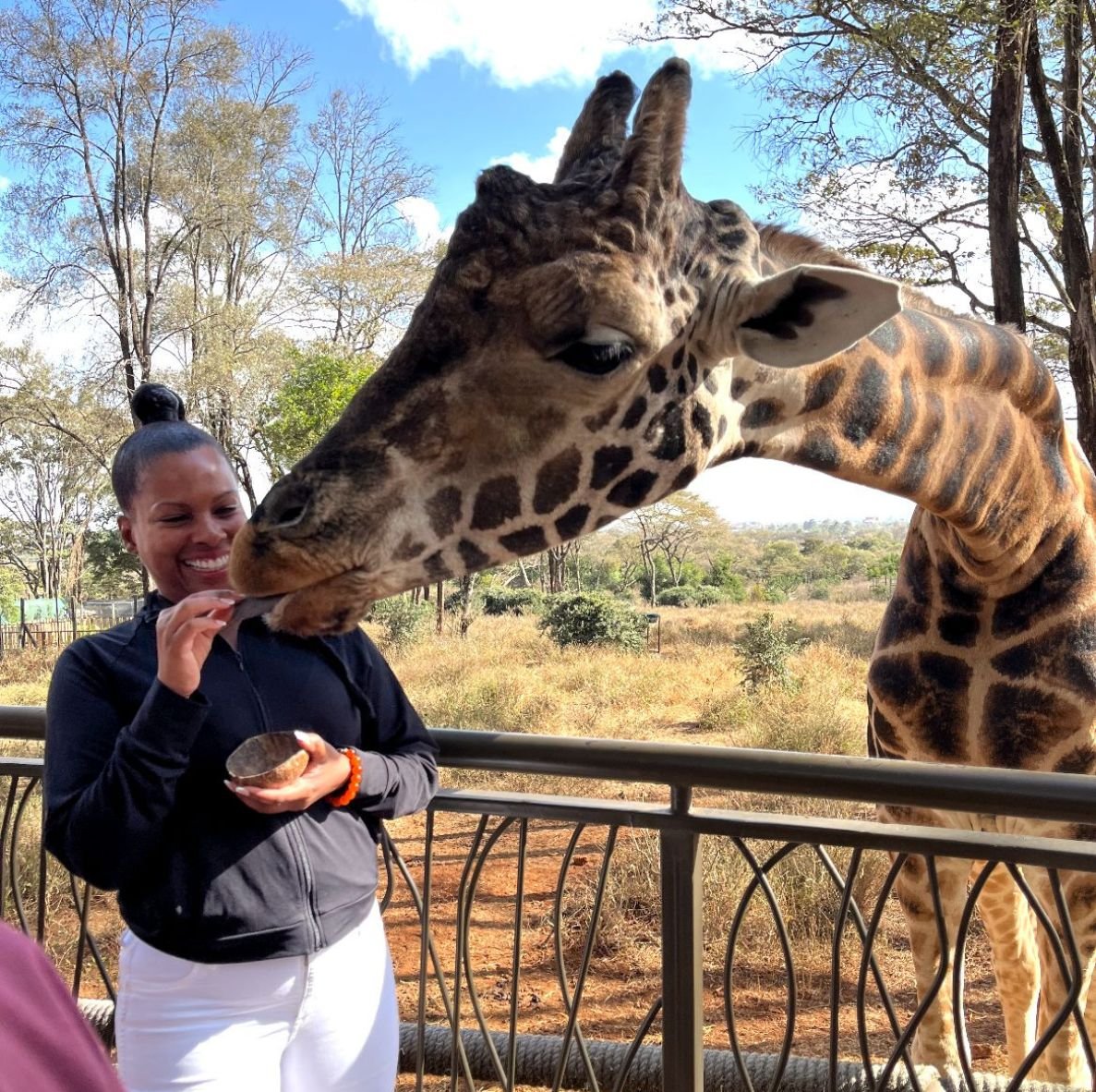 SFS Giraffe & Safari