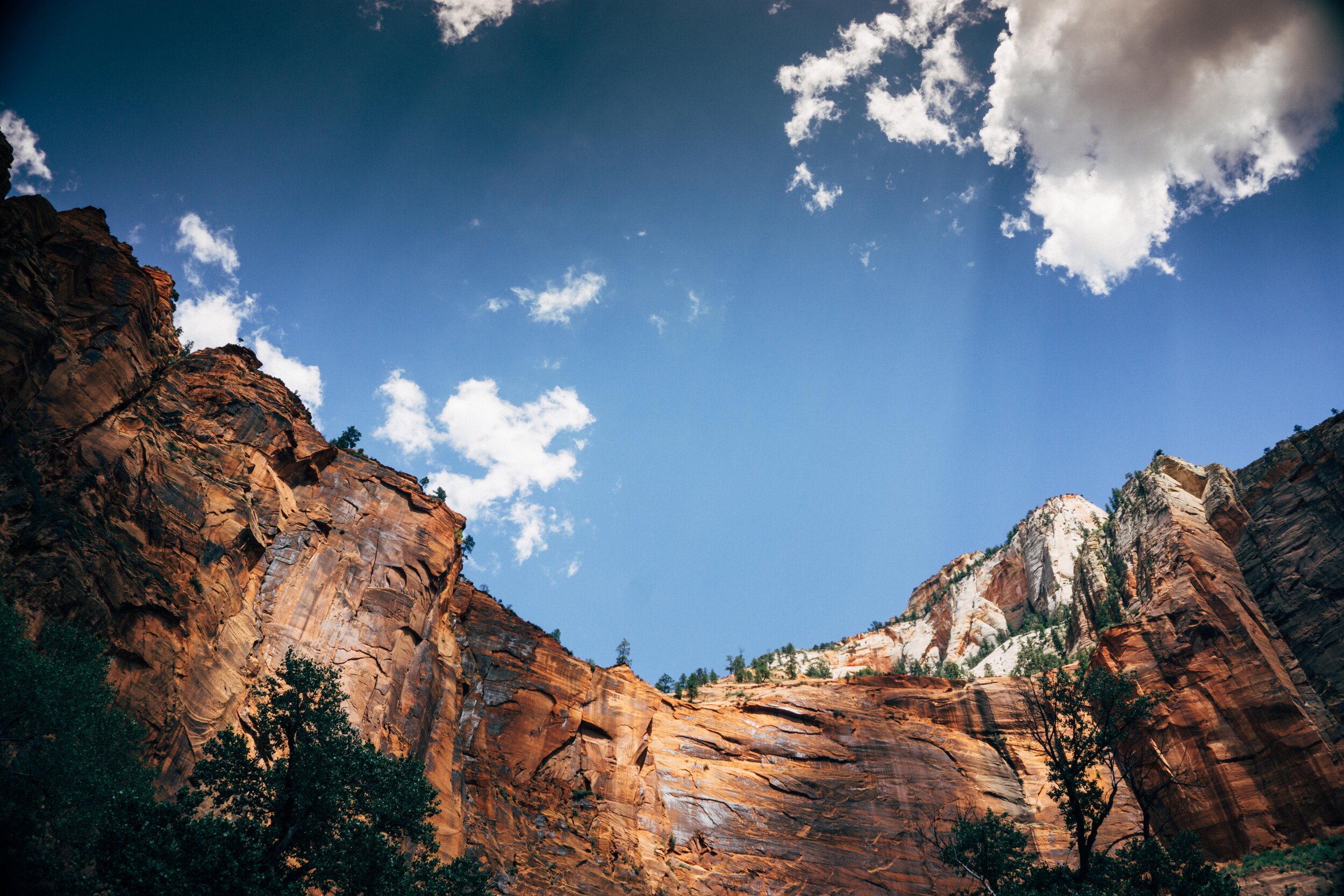 080815_Mt. Zion National Park-580.jpg