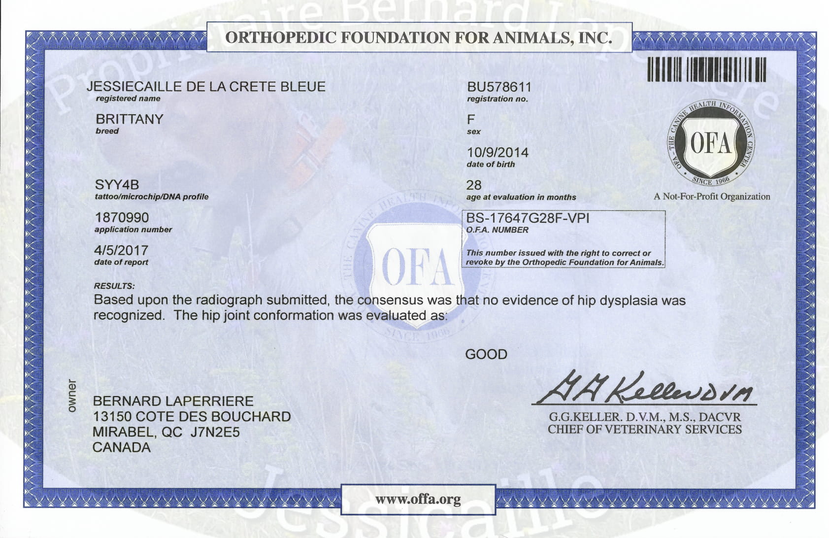 Jessicaille OFA-1.jpg