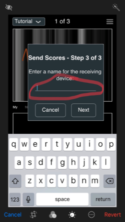 3.) The Receiver enters that code and receives a different code of their own which they share with you.  Ok Sender, now enter that code in to your phone.