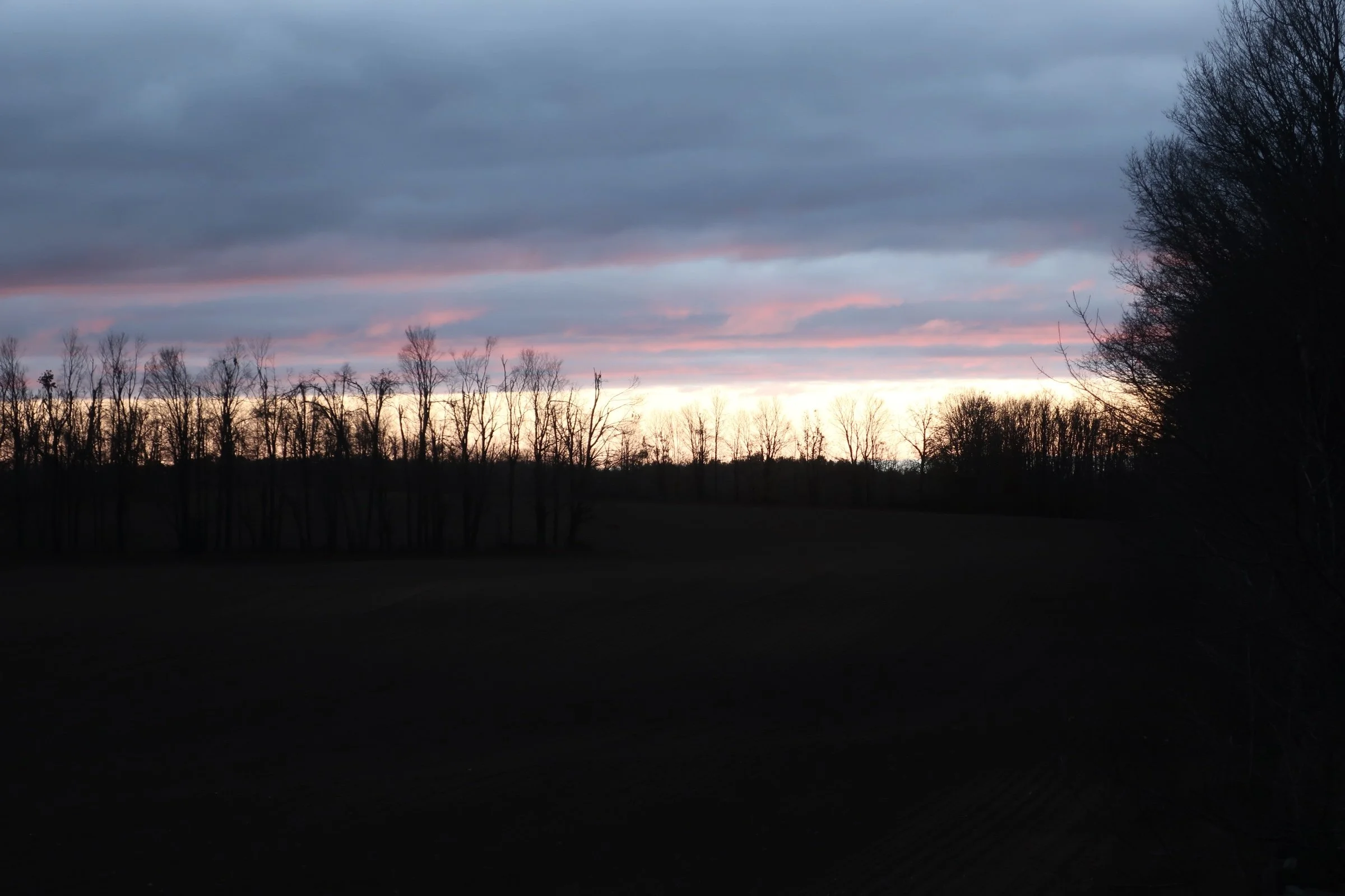 IMG_4509.jpg