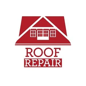 Roof Repair Roofing Pros