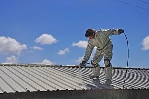 Painting Metal Roof TSV Roofing