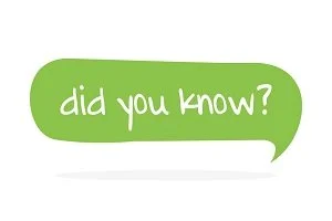did you know tsv roofing construction does windows