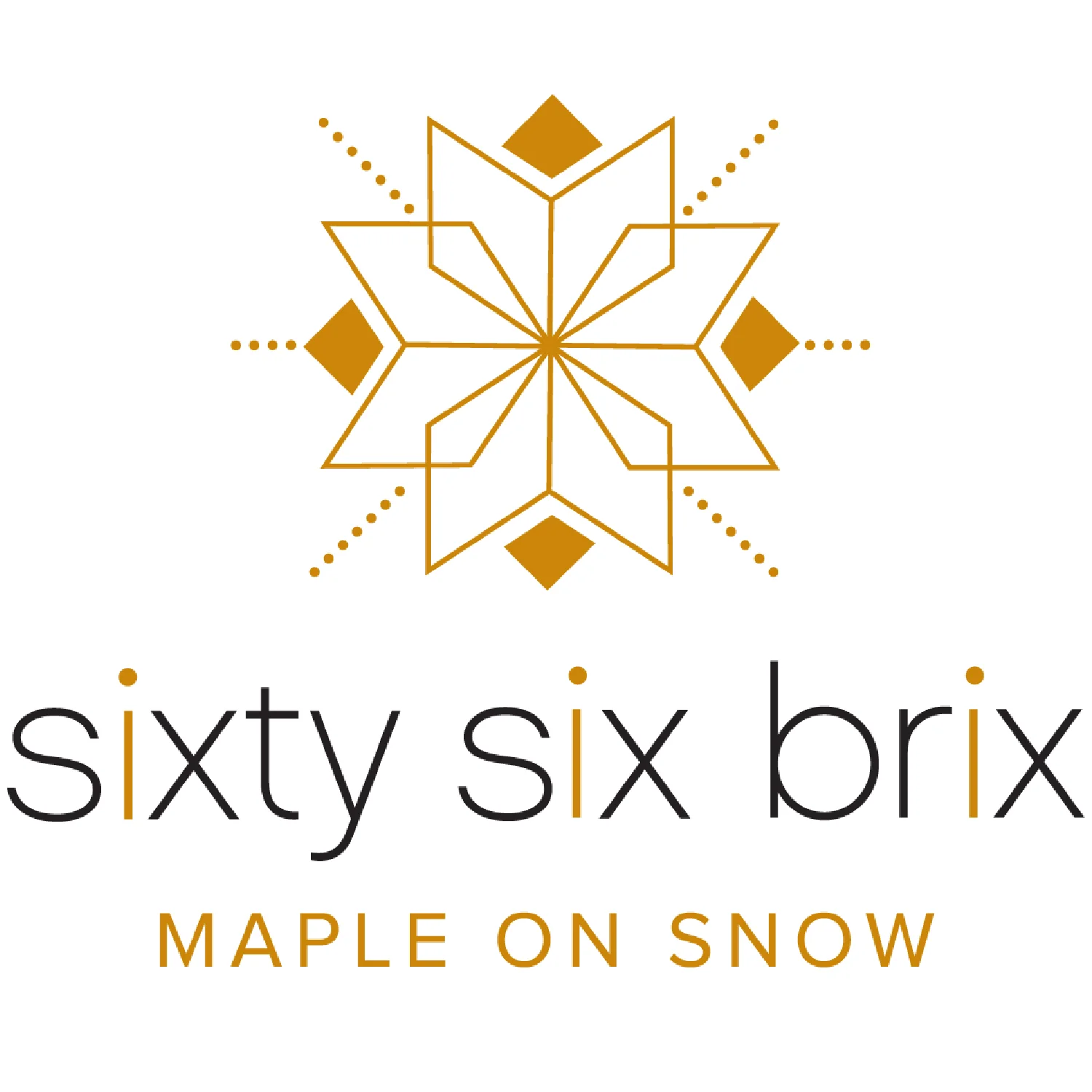sixtysixbrix_(VertTag-4C)-01.jpg