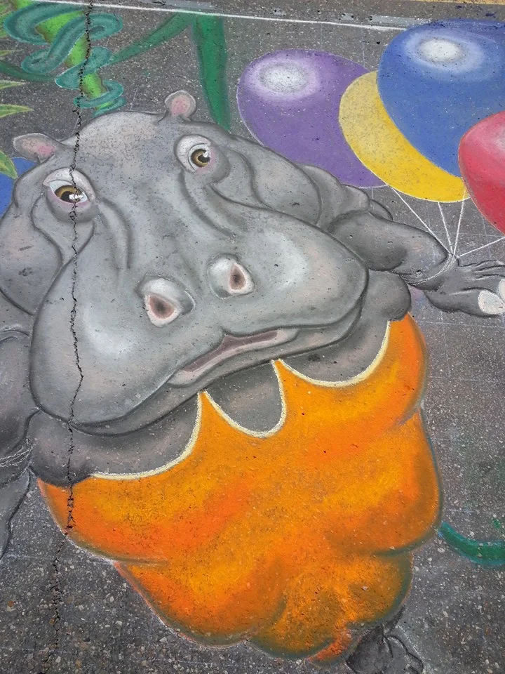 hippo_03.jpg