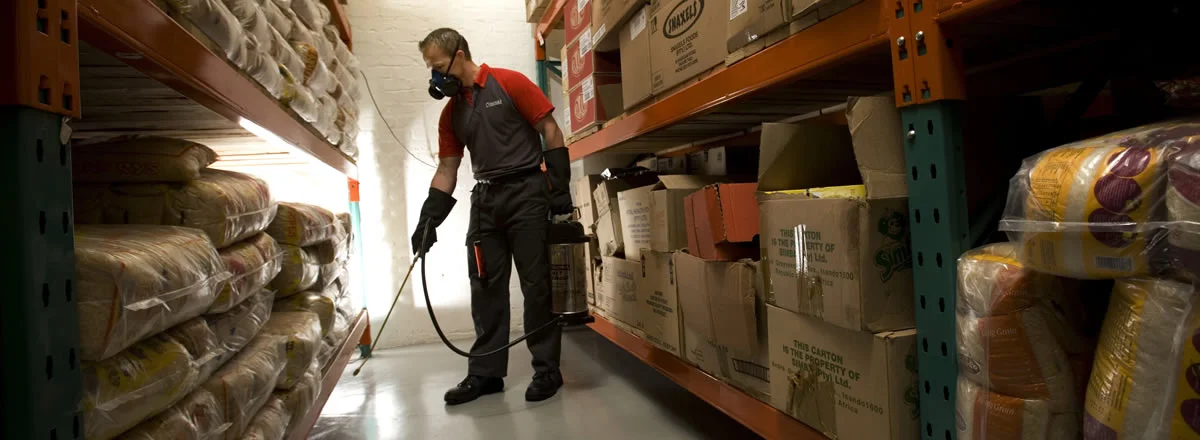 commercial pest control- 2.jpg