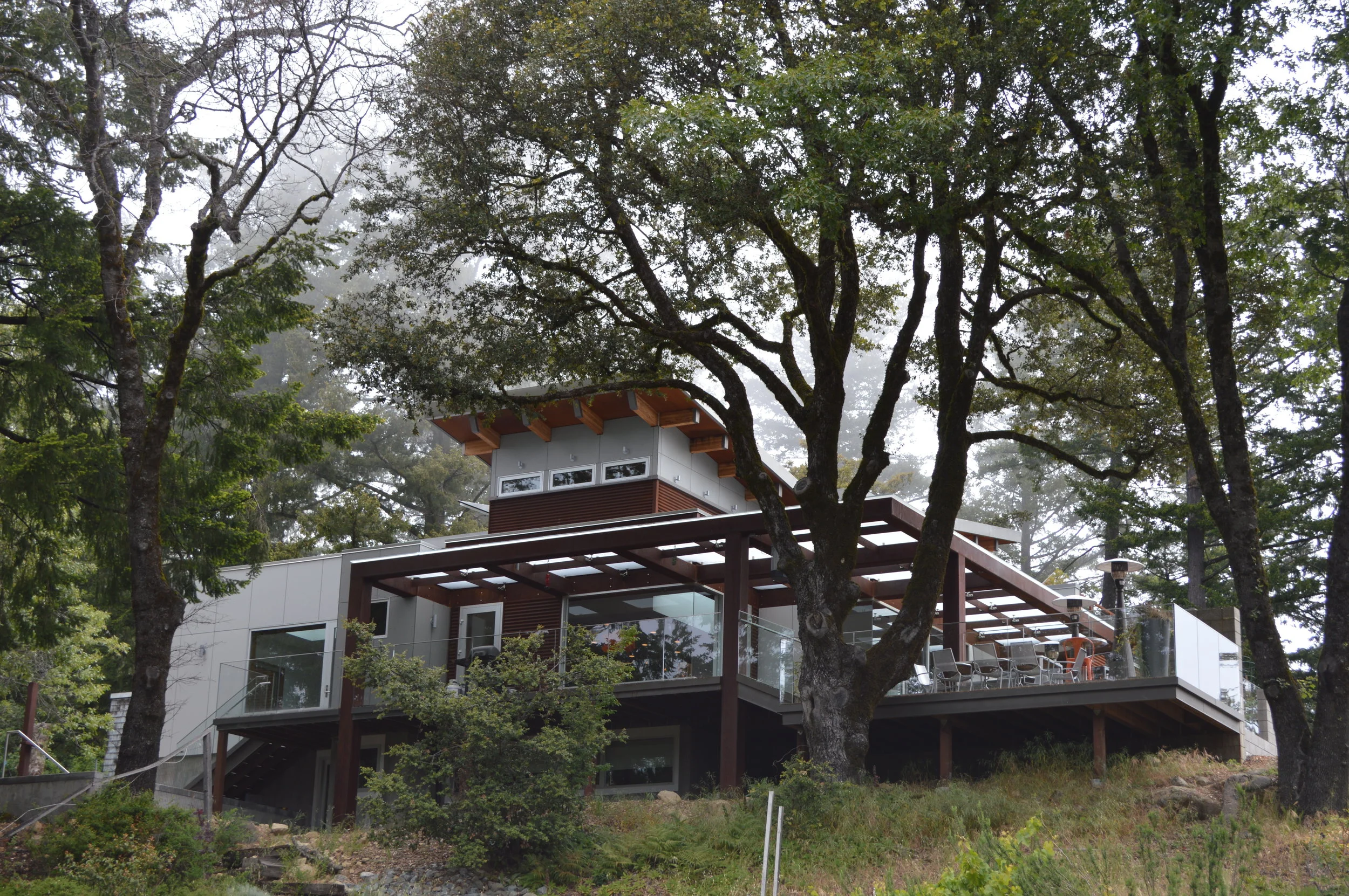 Concrete and Steel Construction - Exterior Backyard - Los Gatos