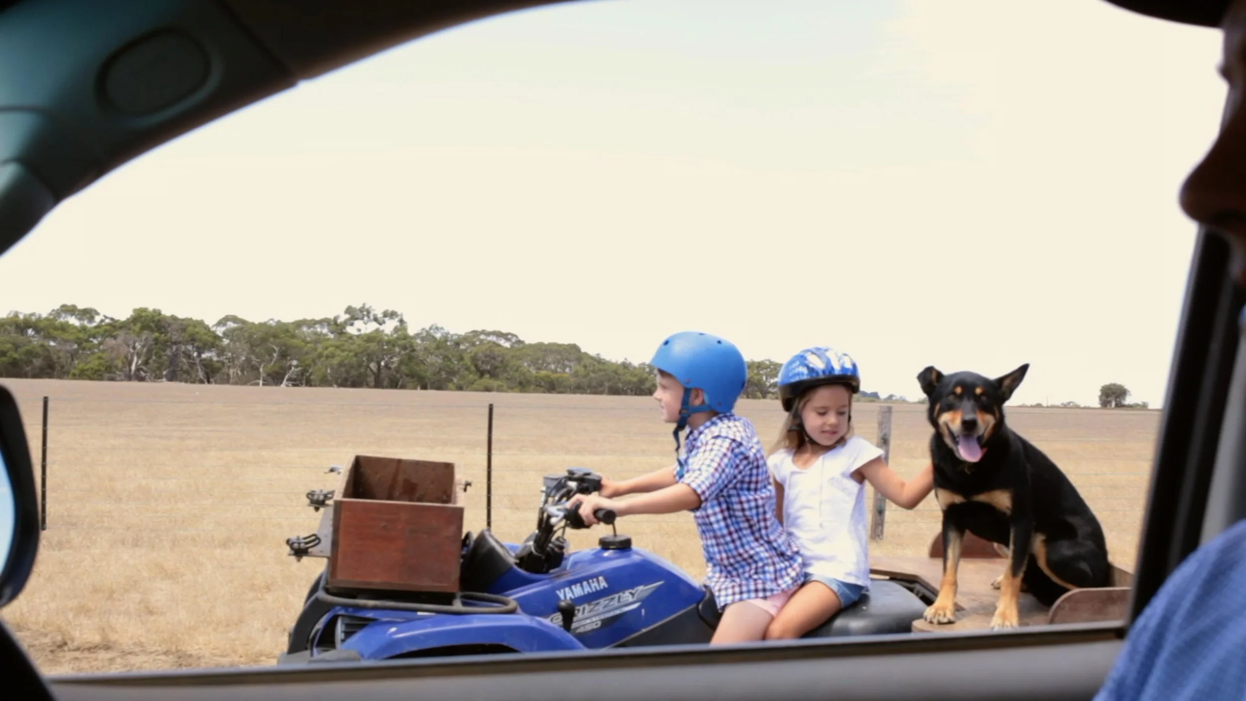 Wests Case Study (short)