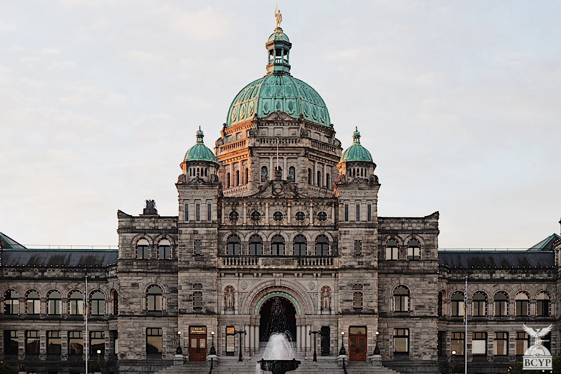 Parliamentarian #3 (June 2019)