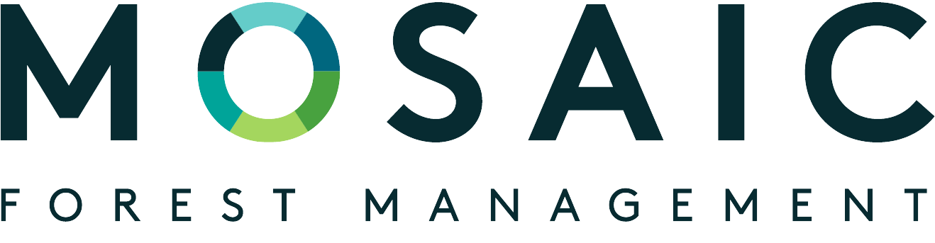 Mosaic-Colour-Logo.png