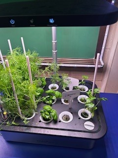 boosters hydroponic.png