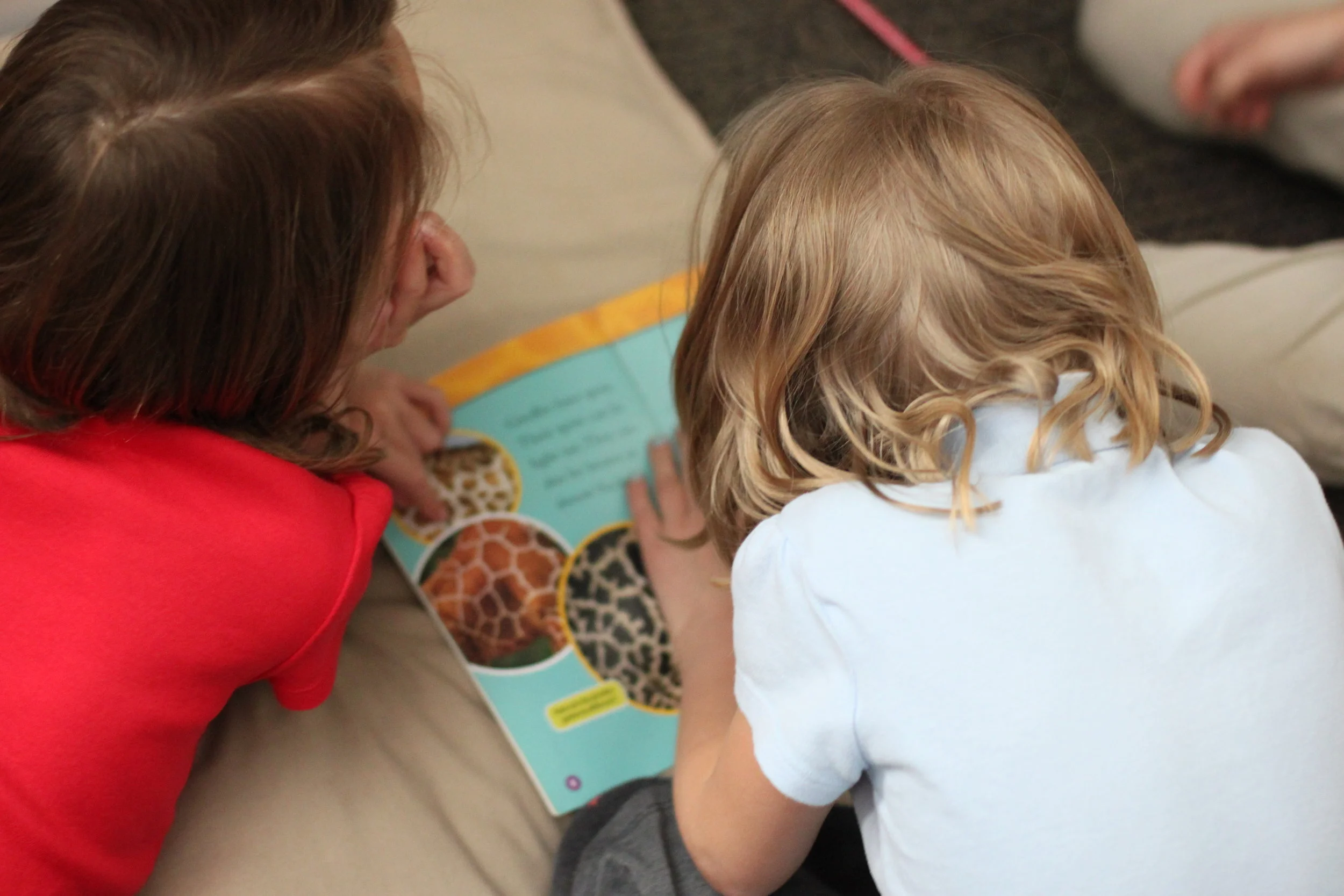 Multimedia Research Rotations in the Elementary Classroom