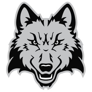 madison college goodman sports complex — BallParchitecture