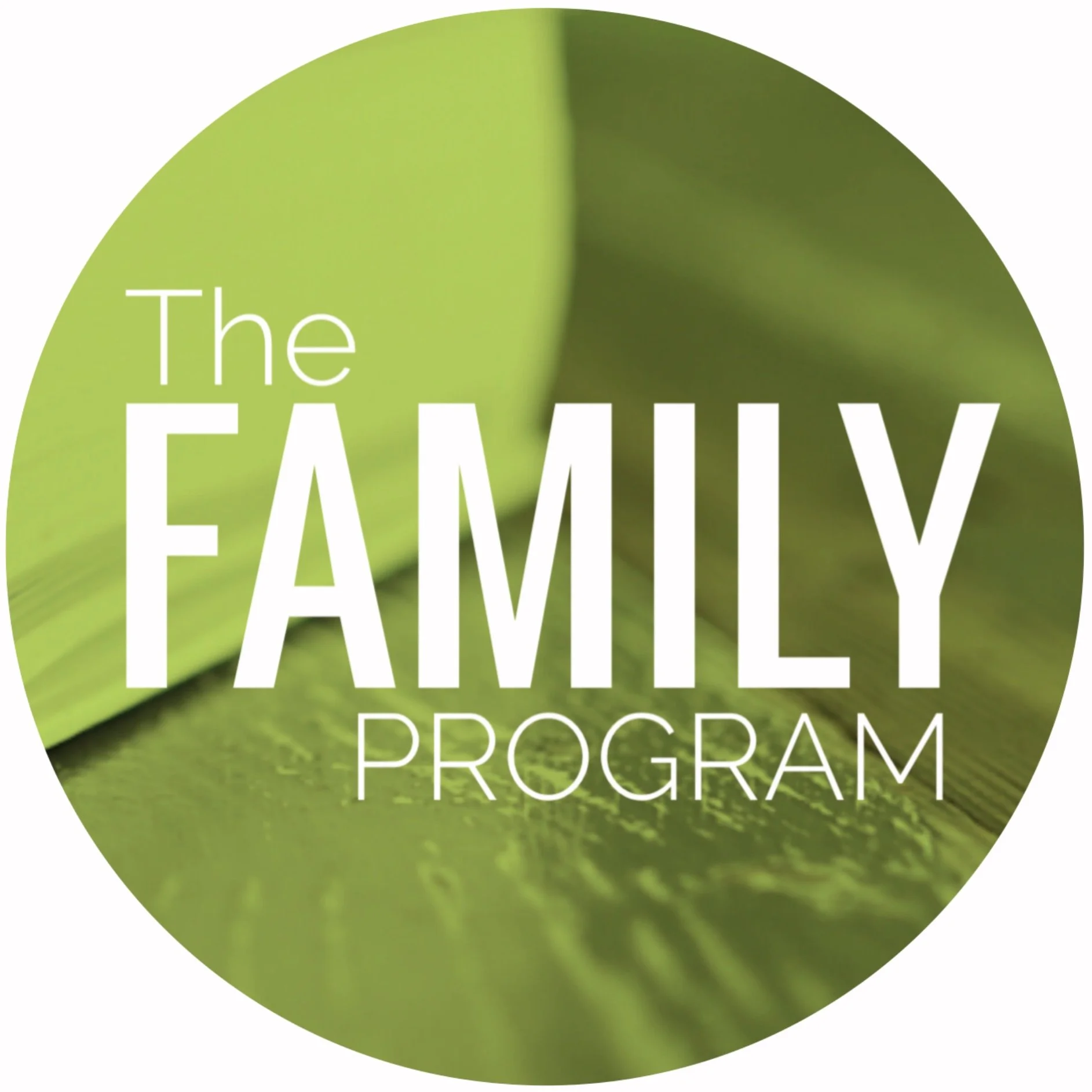 THE FAMILY PROGRAM