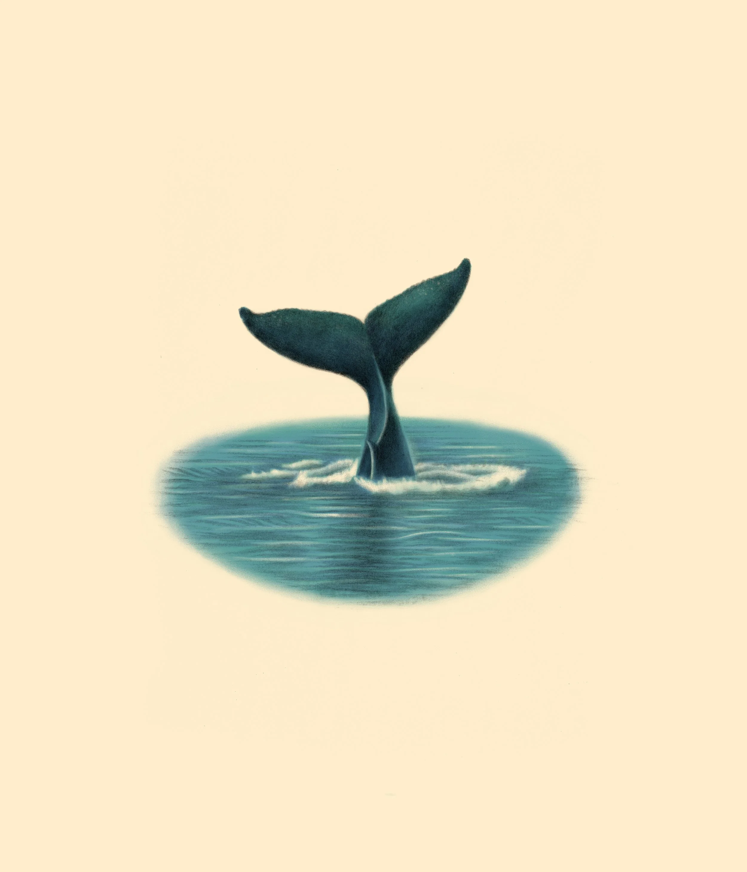 Untitled - February 23, 2026 16.07 2.jpg