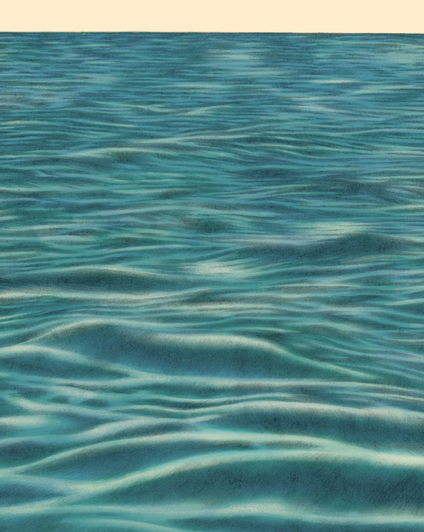 🌊🐳