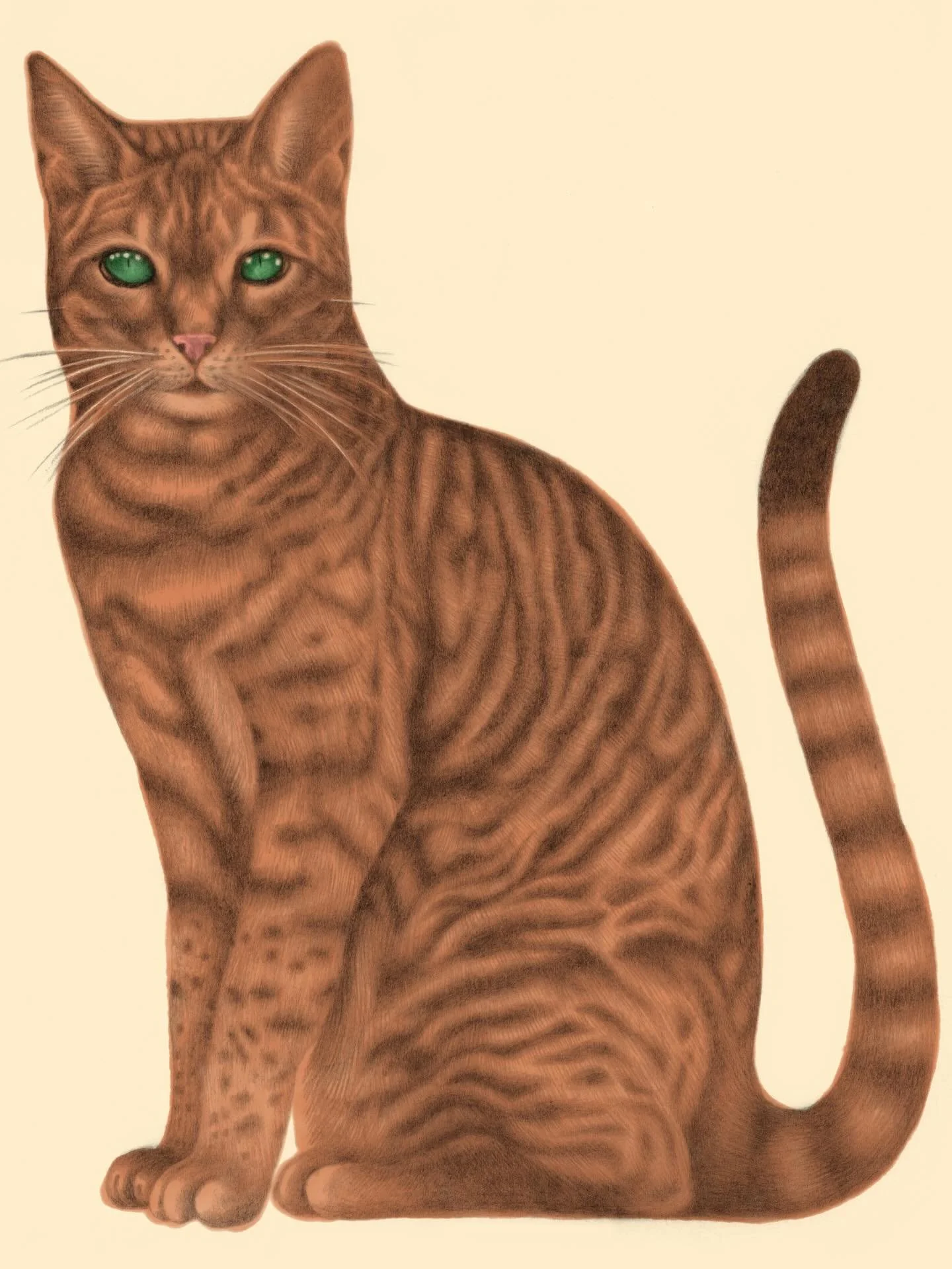 🐈