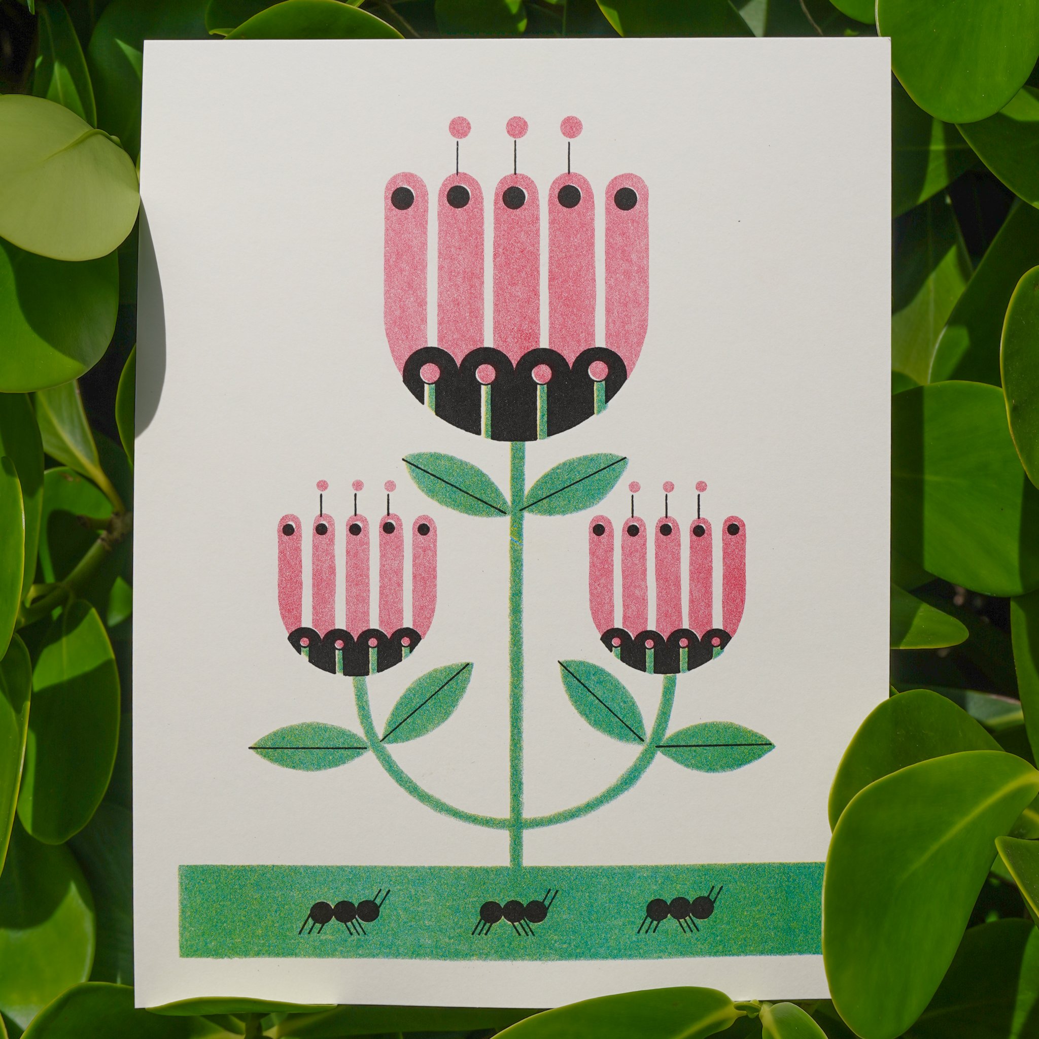 Flower riso print