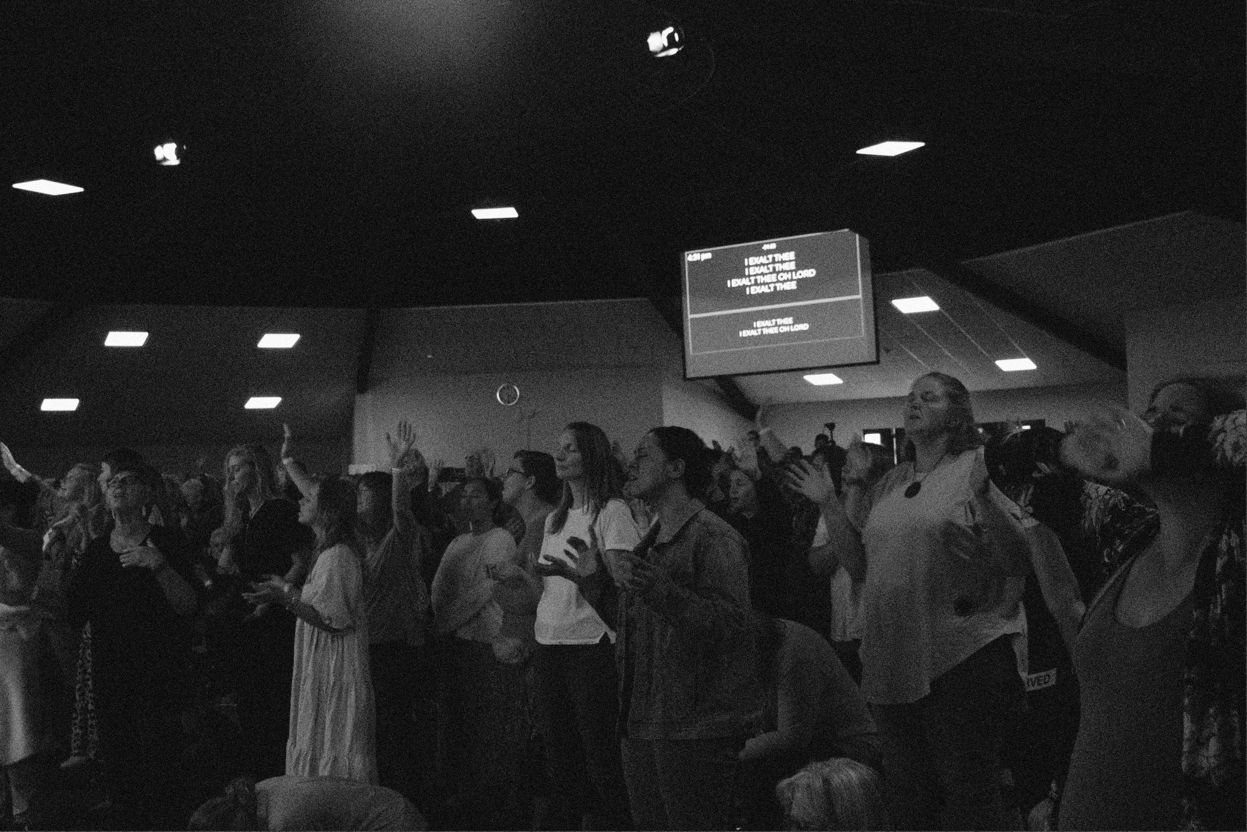 Photo Banner 3 copy.jpg