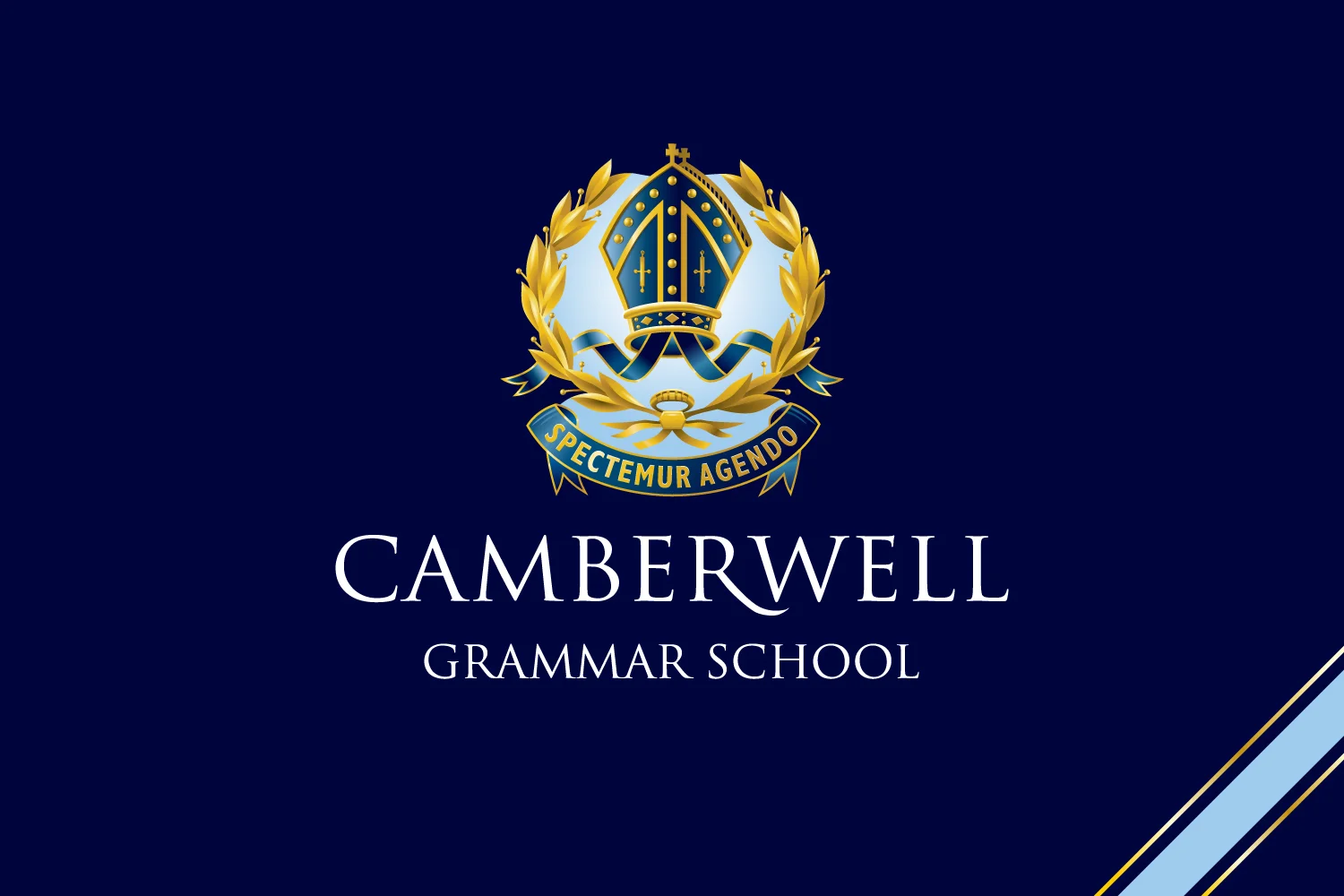 School brand identity Logo Design