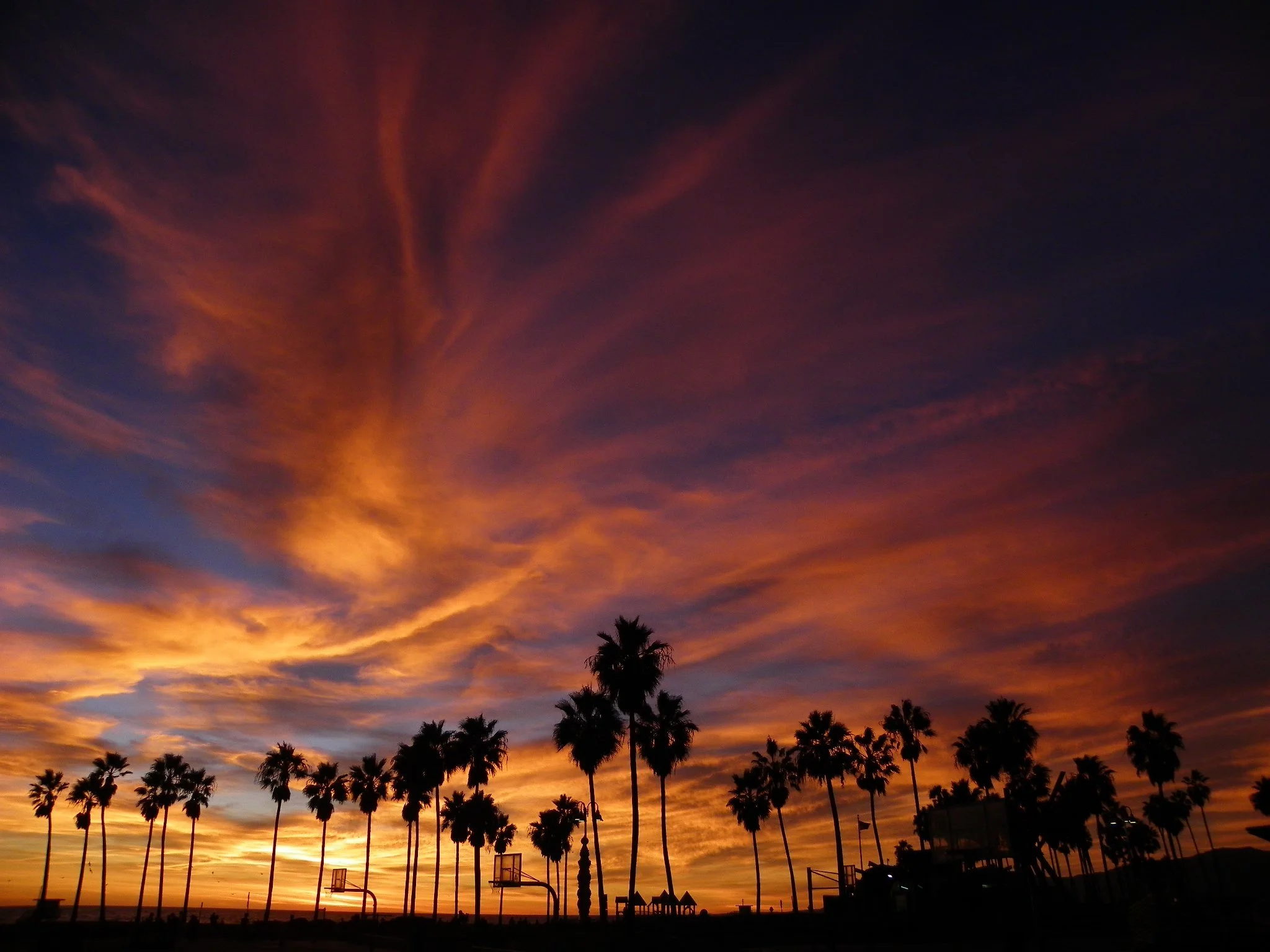 Beauty and the Beach